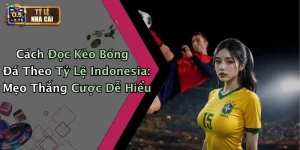 Cách Đọc Kèo Bóng Đá Theo Tỷ Lệ Indonesia: Mẹo Thắng Cược Dễ Hiểu