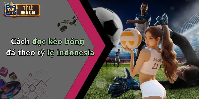 Cách đọc kèo bóng đá theo tỷ lệ indonesia
