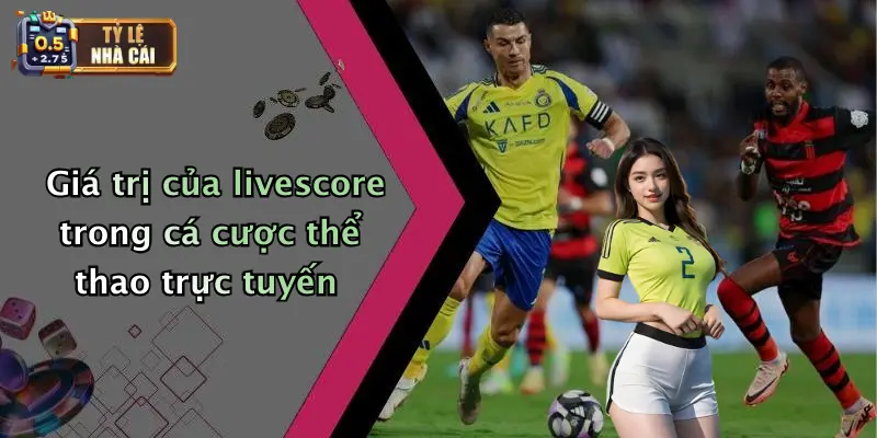 Giá trị của livescore trong cá cược thể thao trực tuyến