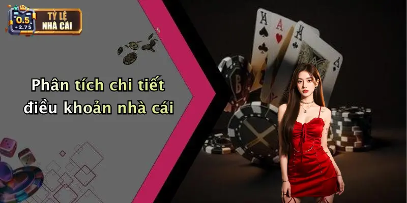 Phân tích chi tiết điều khoản nhà cái