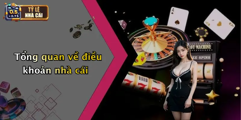 Tổng quan về điều khoản nhà cái