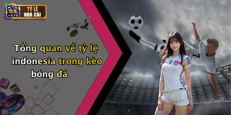 Tổng quan về tỷ lệ indonesia trong kèo bóng đá