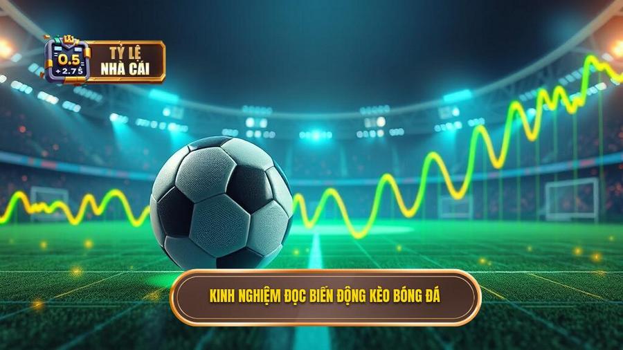 Kinh nghiệm đọc tỷ lệ bóng đá bất bại qua biến động kèo
