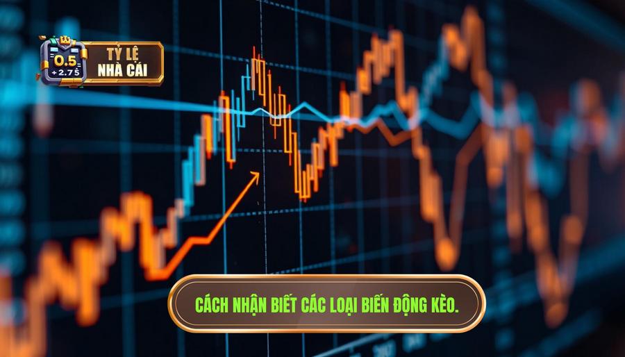 Cách nhận biết các loại biến động kèo phổ biến